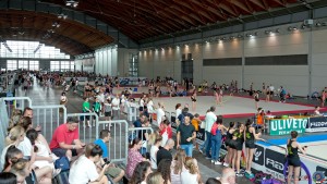 rimini varie sfe08958 copia simone ferraro ph